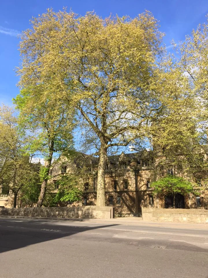Photo credit: author. Taken on iPhone 6, Oxford, England April 2017