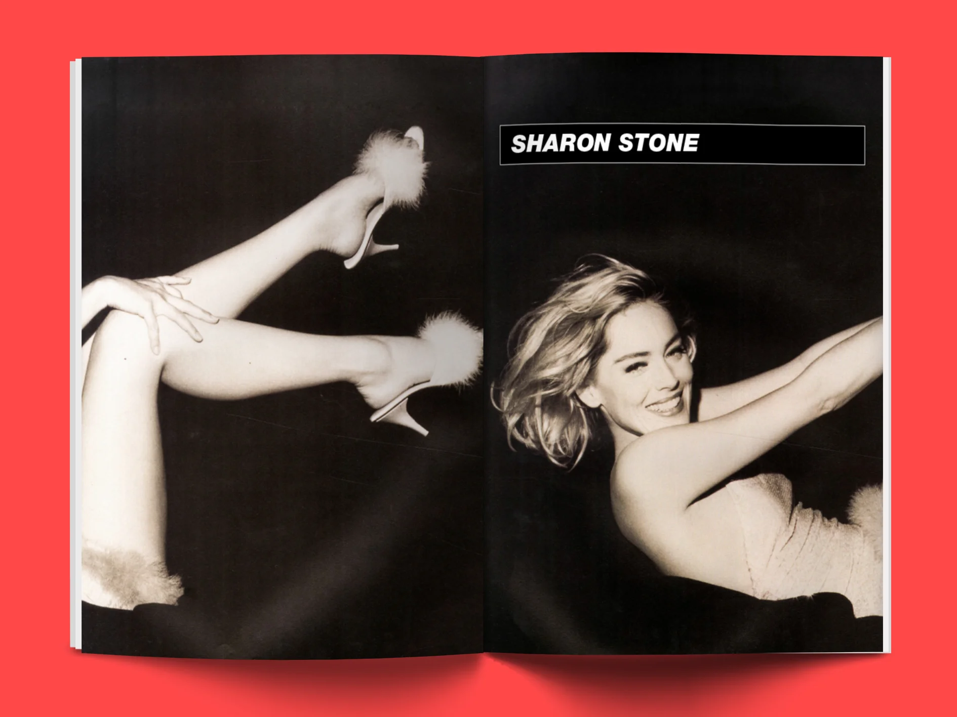 Spread8.jpg
