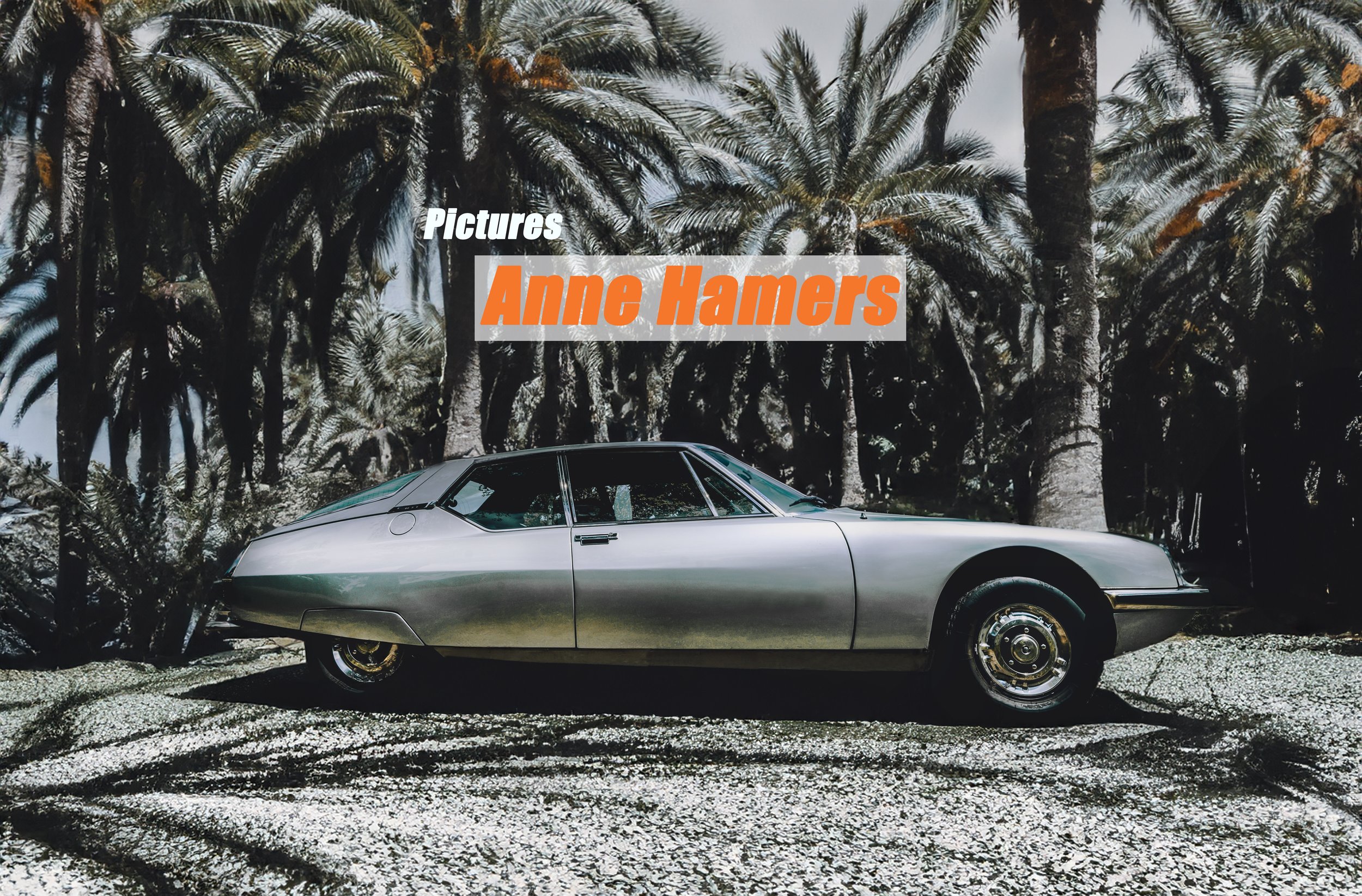 Voorpagina _website.jpg