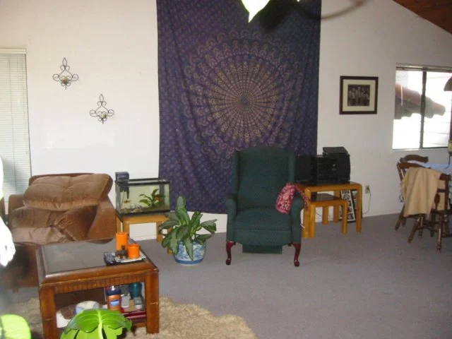livingroomanddiningarea.jpg