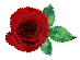 Rose-72.png