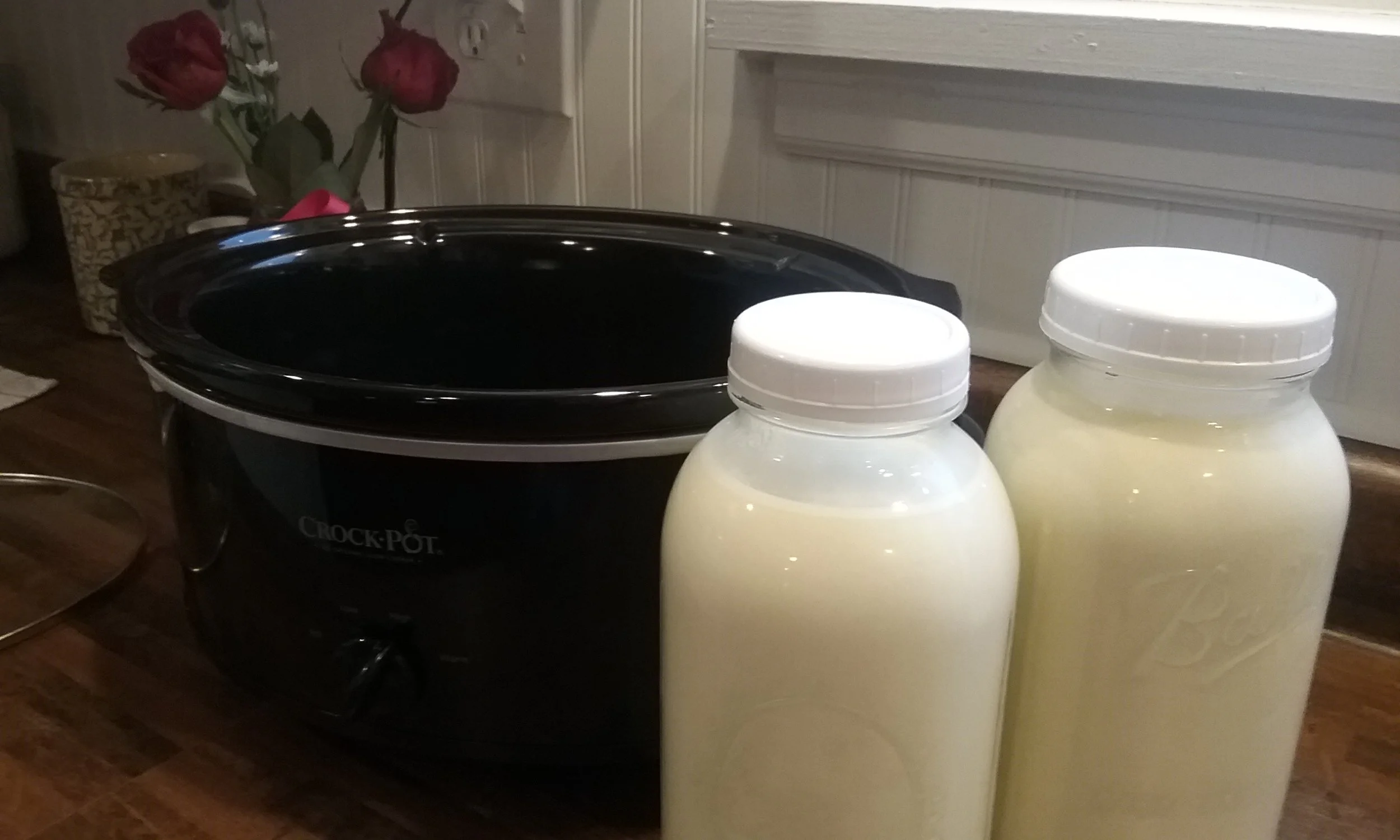 Step One: I put a gallon of Fagan Family Farm milk in my crockpot and I turn it on high.