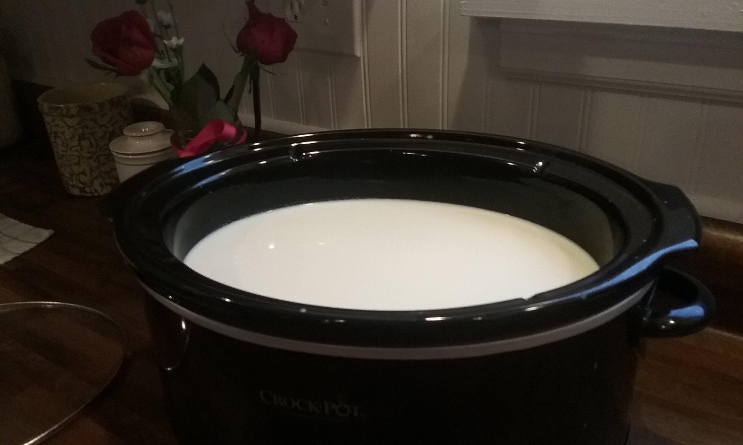 Step 7: Put your homemade yogurt in glass jars and place them in the refrigerator where it will become a little more thicker. 