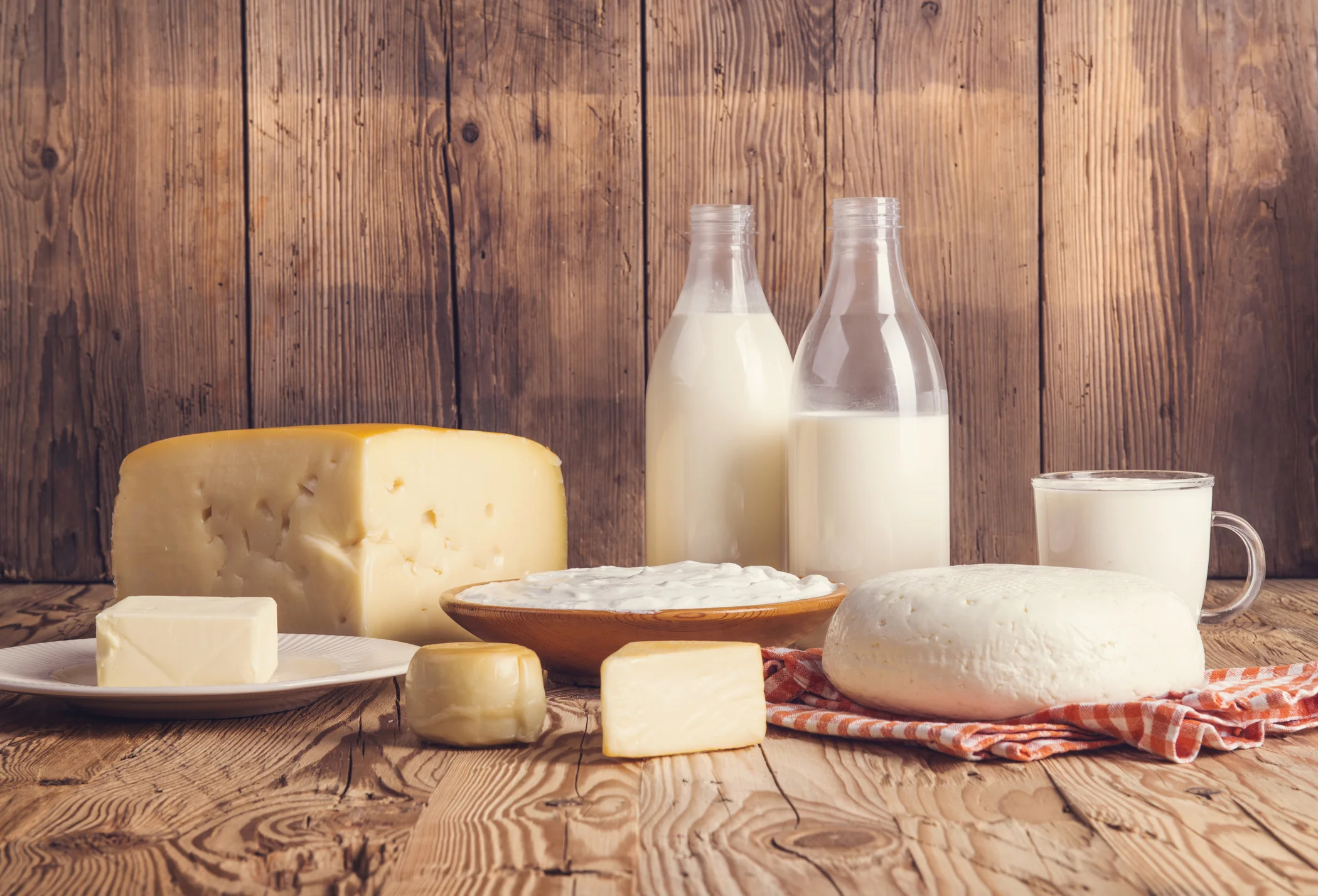 Basic Cheese Making Class at Fagan Family Farm