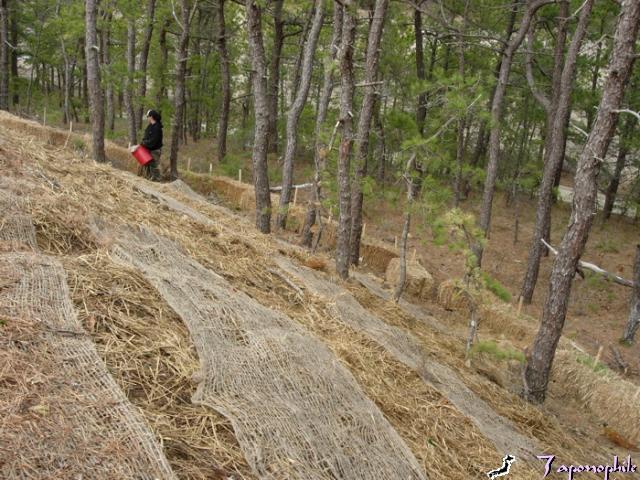 What is a steep slope - our opinion for Working on a steep slope
