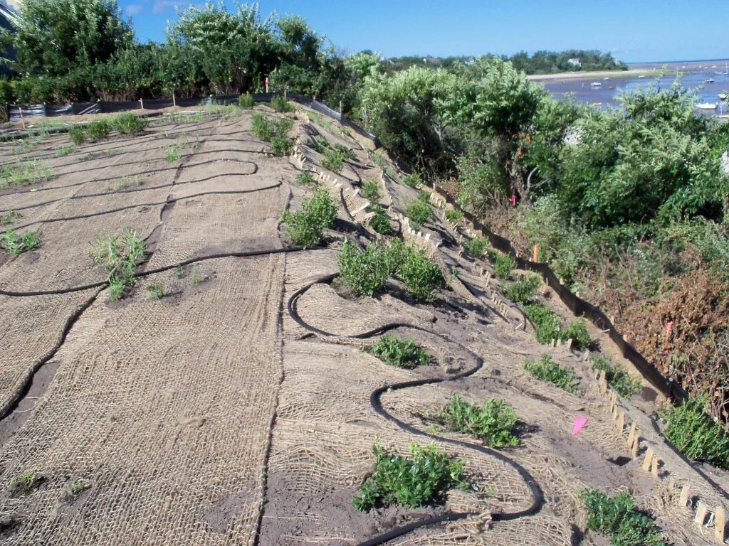 Steep Slope Stabilization — Safe Harbor