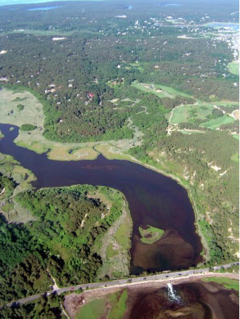 Herring River Estuary July 4, 2004