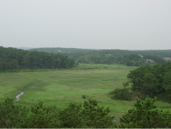  The expected future vista of the previous brush meadow photo. Careful management and planning will allow for removal of vegetation before it is killed by salt water. Sun light must be able to reach the marsh surface for restoration to be possible. 