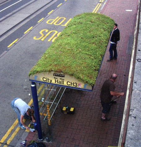  Urban "Tray Based" &nbsp;green roofs can be custom &nbsp;"coiffed" for specific plantings. These flexible systems give us options for all sorts of structures...when we think about it...doesn't it seem like a good idea to turn carbon dioxide into oxy