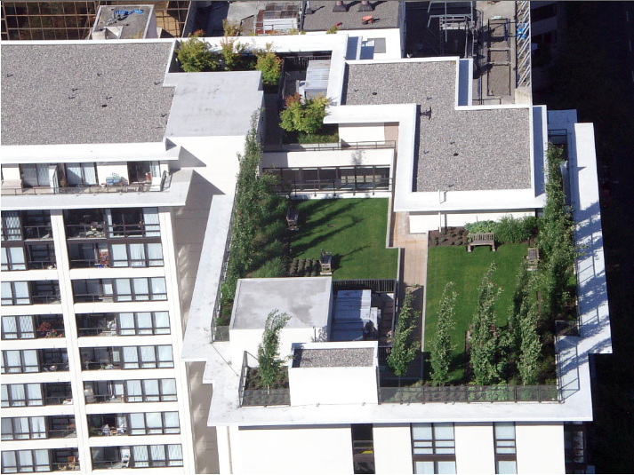  Systems using vegetated trays accommodate drainage for heavy rain events in urban environments. 