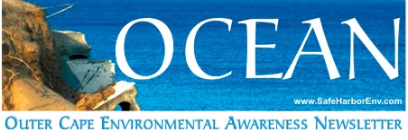 OCEAN 36 shares an intriguing collection of environmental topics: A nation's changeover to longer lasting currency hits a speed bump when bills are rejected by a Vegetarian cafe; A good idea for recycling used water from oil companies to farmers has unintended results; We finally have edible bags and in the UK, which we consider the Canary in the Climate Change coal mine, they once again experience flooding of historic proportions. The success of this e newsletter would not be possible without our readers, who share it with their friends. Thank you, Gordon Peabody, Editor