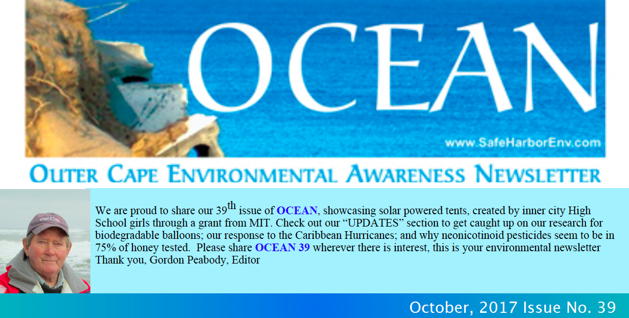 OCEAN39pic.png