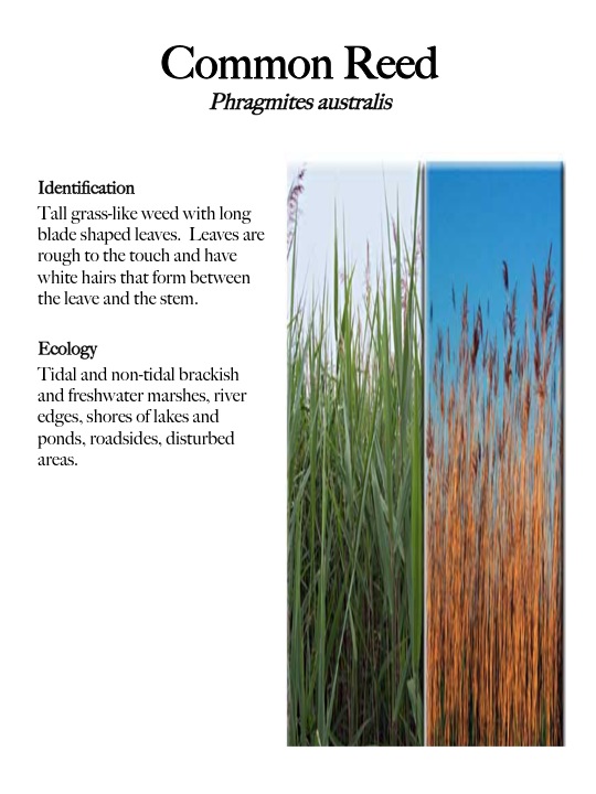 Slide06.jpg