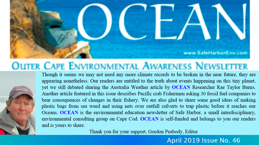 OCEAN46pic.png