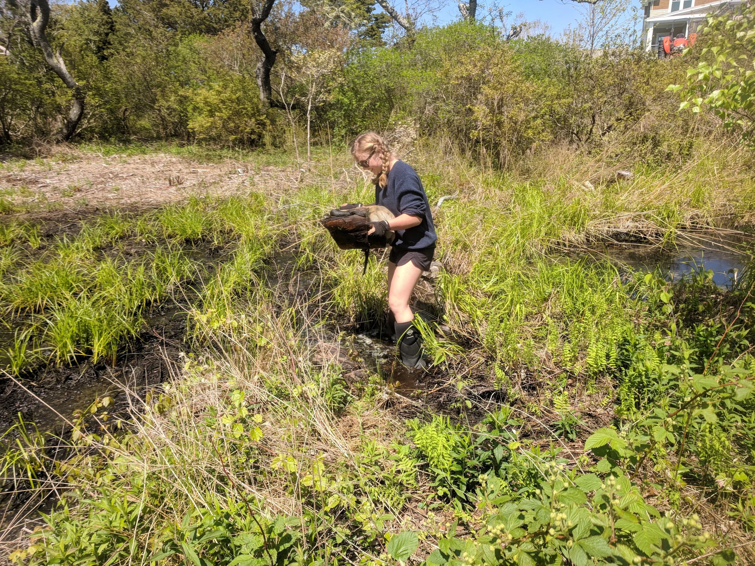 Intern Coordinator Ferran, working on environmental restoration site.