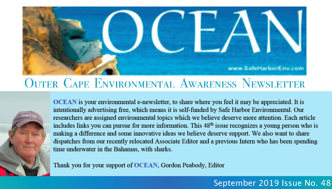 OCEAN48pic.png