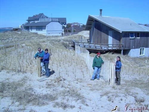  Sand fencing re-installed over the restored area to control wind speed  Special thanks to Dennis Minsky, Talilla Schuster, Rachael Sevanich and Meribeth Ratzel for their work on this project. Rachael received Safe Harbor's Special Recognition Award 
