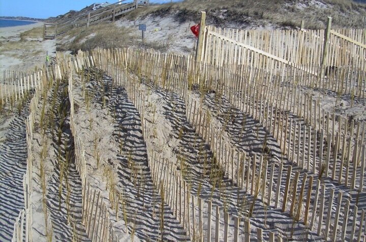  Original fencing placed along coastline  