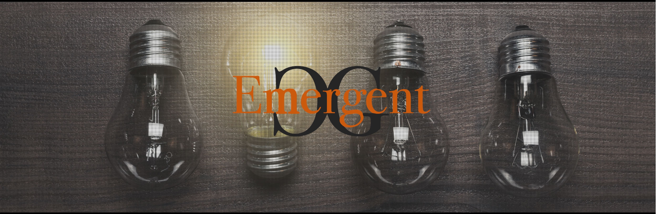 Emergent Consulting Group