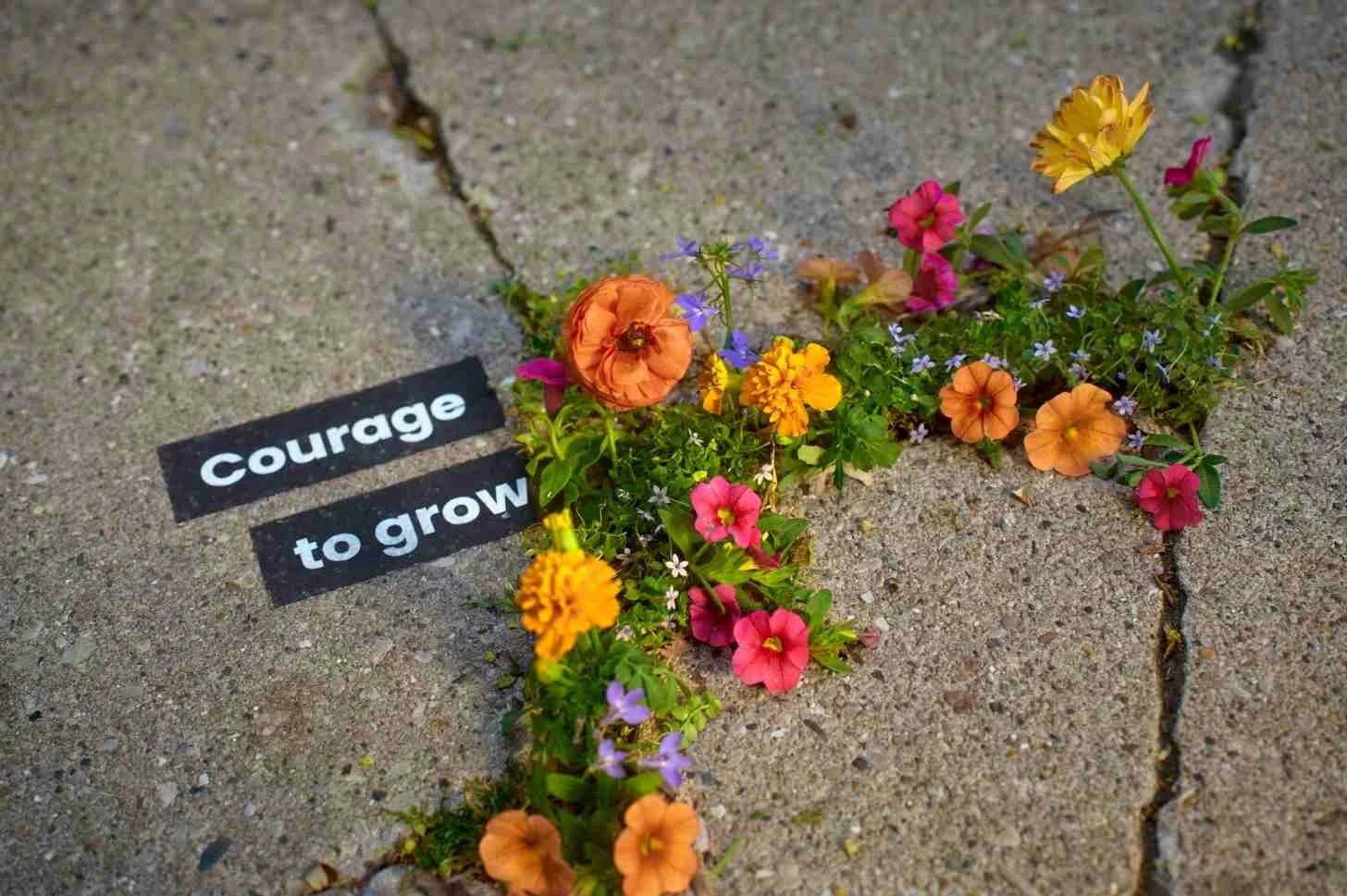 CouragetoGrow.jpg