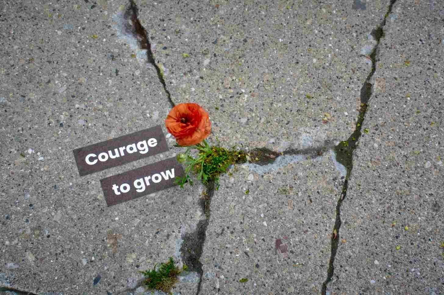 Courage2.jpg