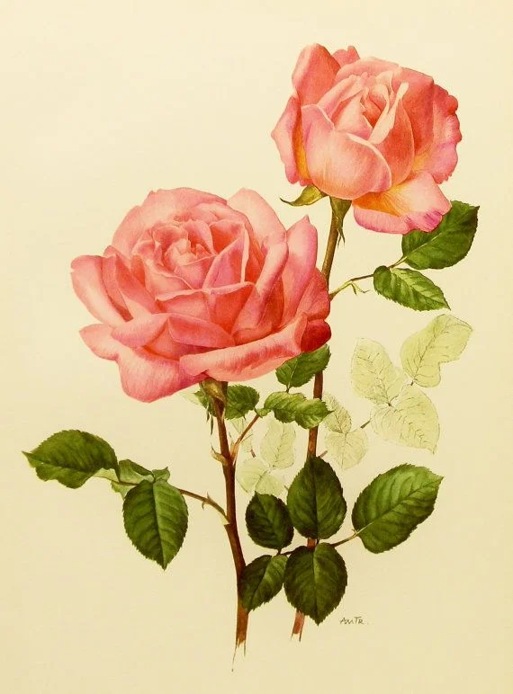 a6e9d6ee64dcc0b59266ec0d61a4d831.jpg