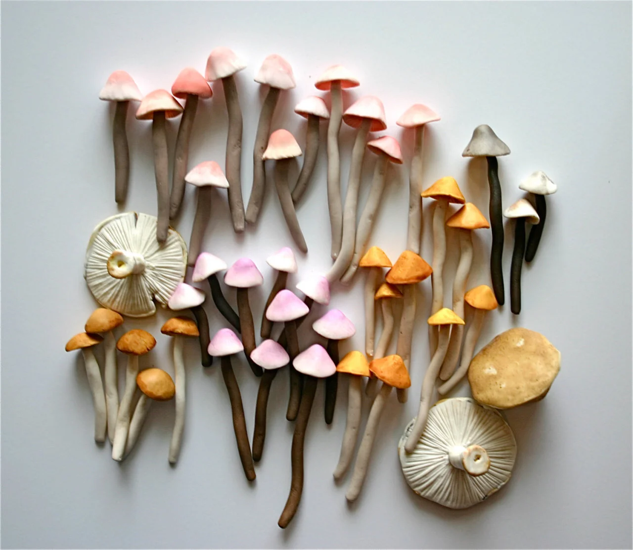 mushies.jpg