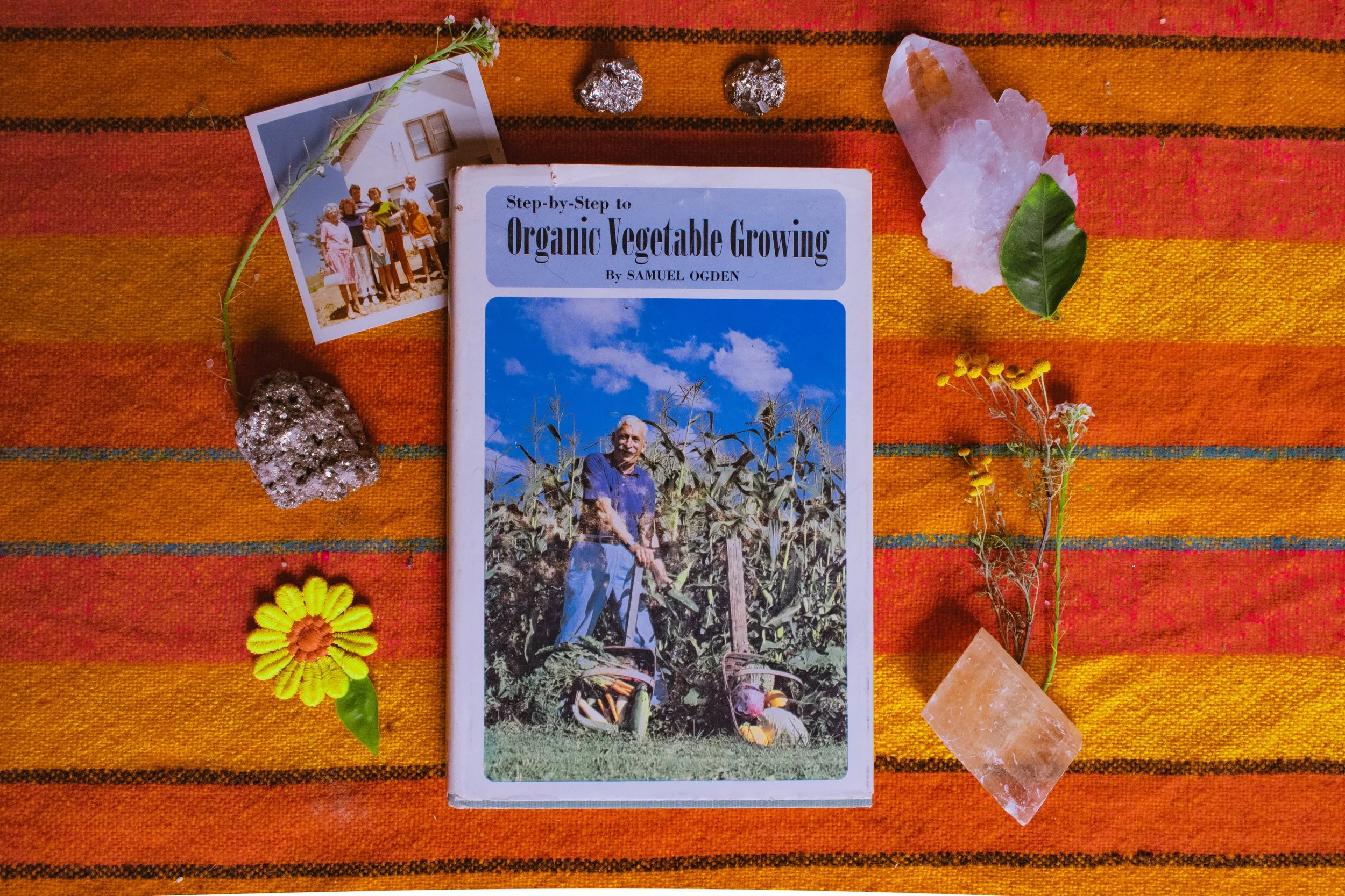 Vintage 1970s Step by Step to Organic Vegetable Growing Hardcover Book