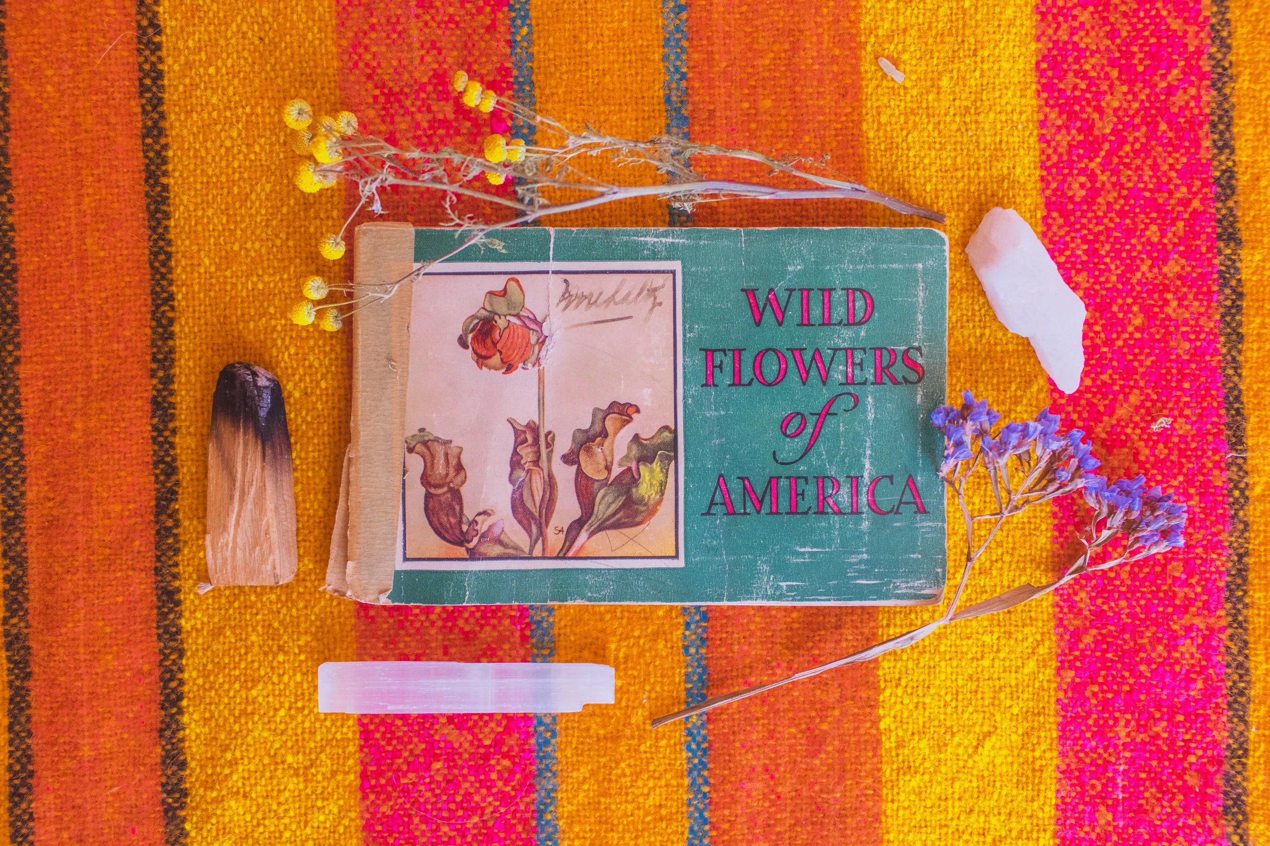 1930s Wild Flowers of America Miniature Book