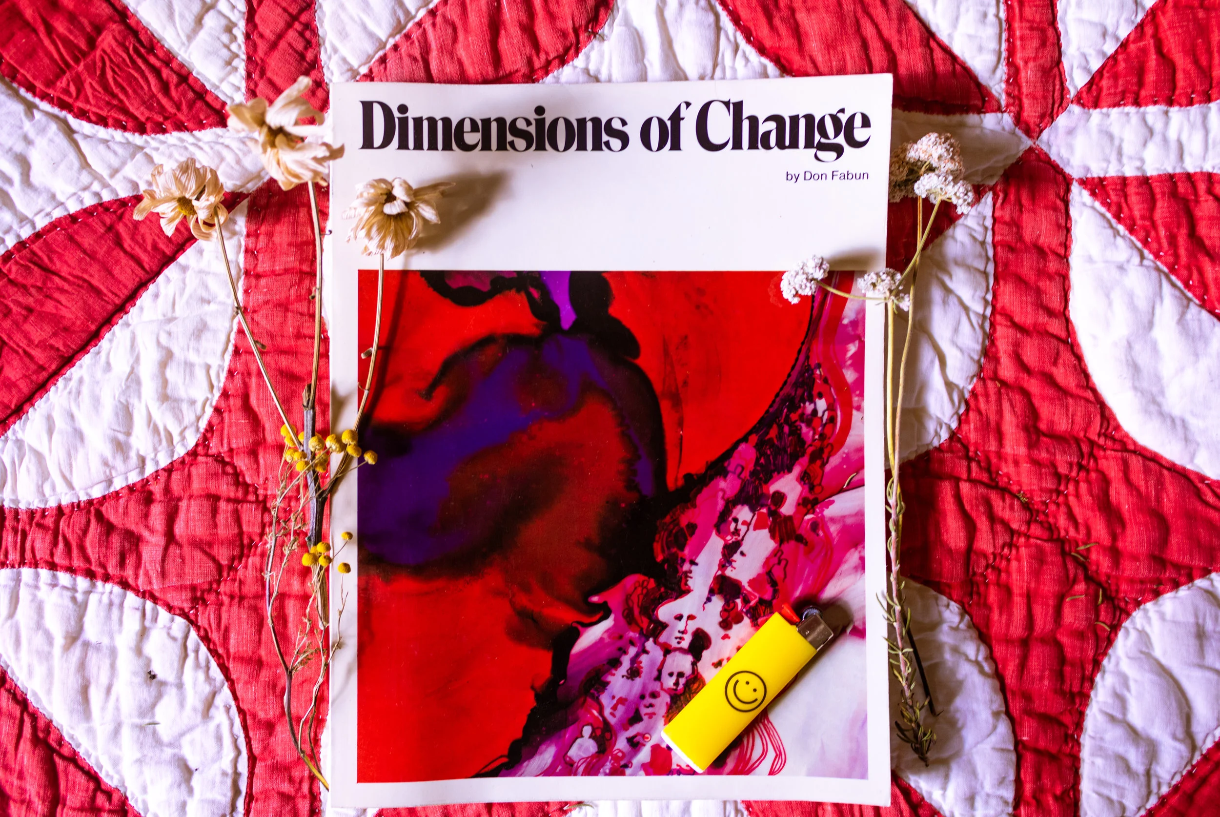 Vintage 1970s Dimensions of Change First Edition Paperback Book