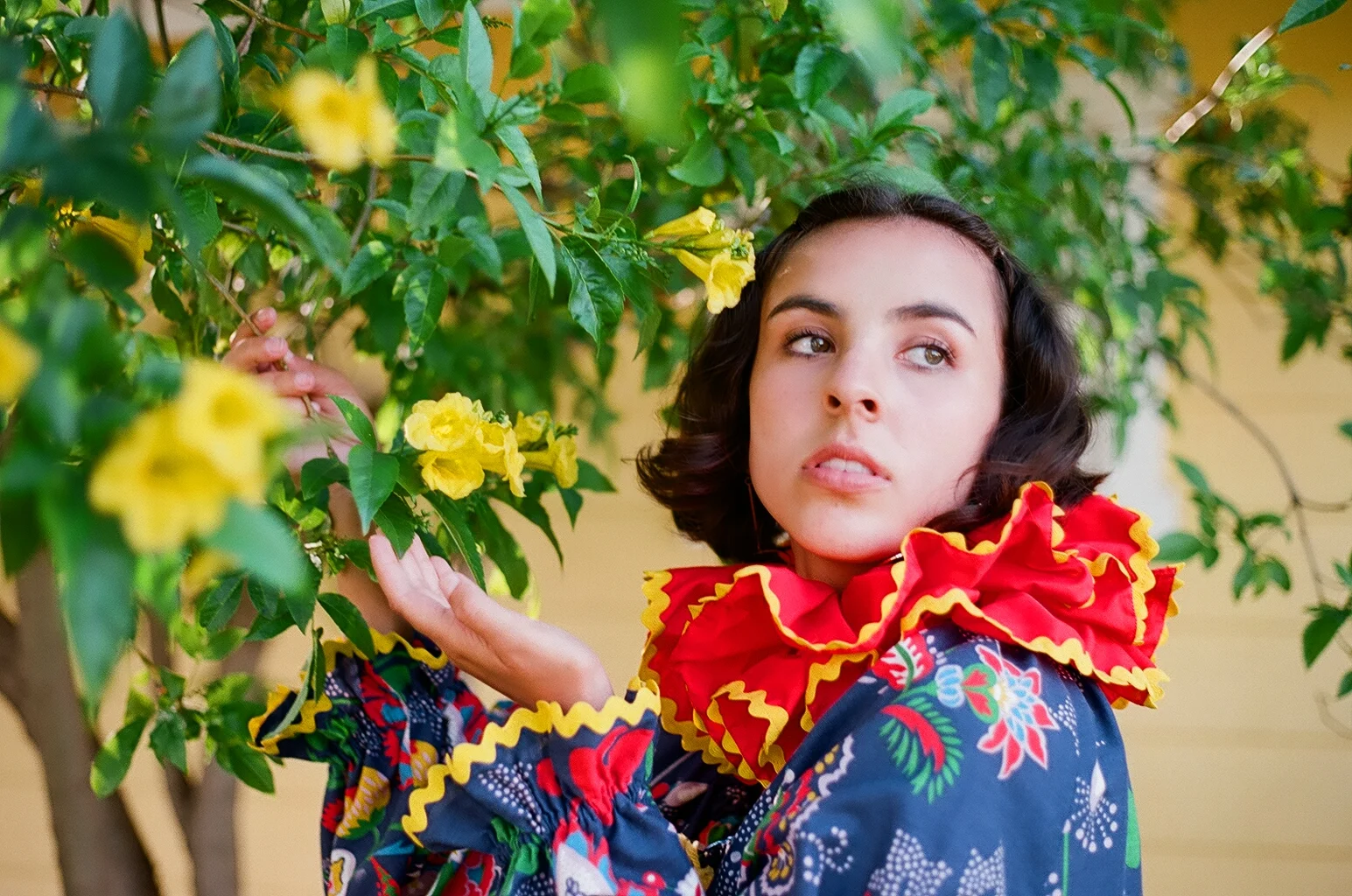 C4F85FCF-223C-484C-A4F4-1C8392DB2EB6