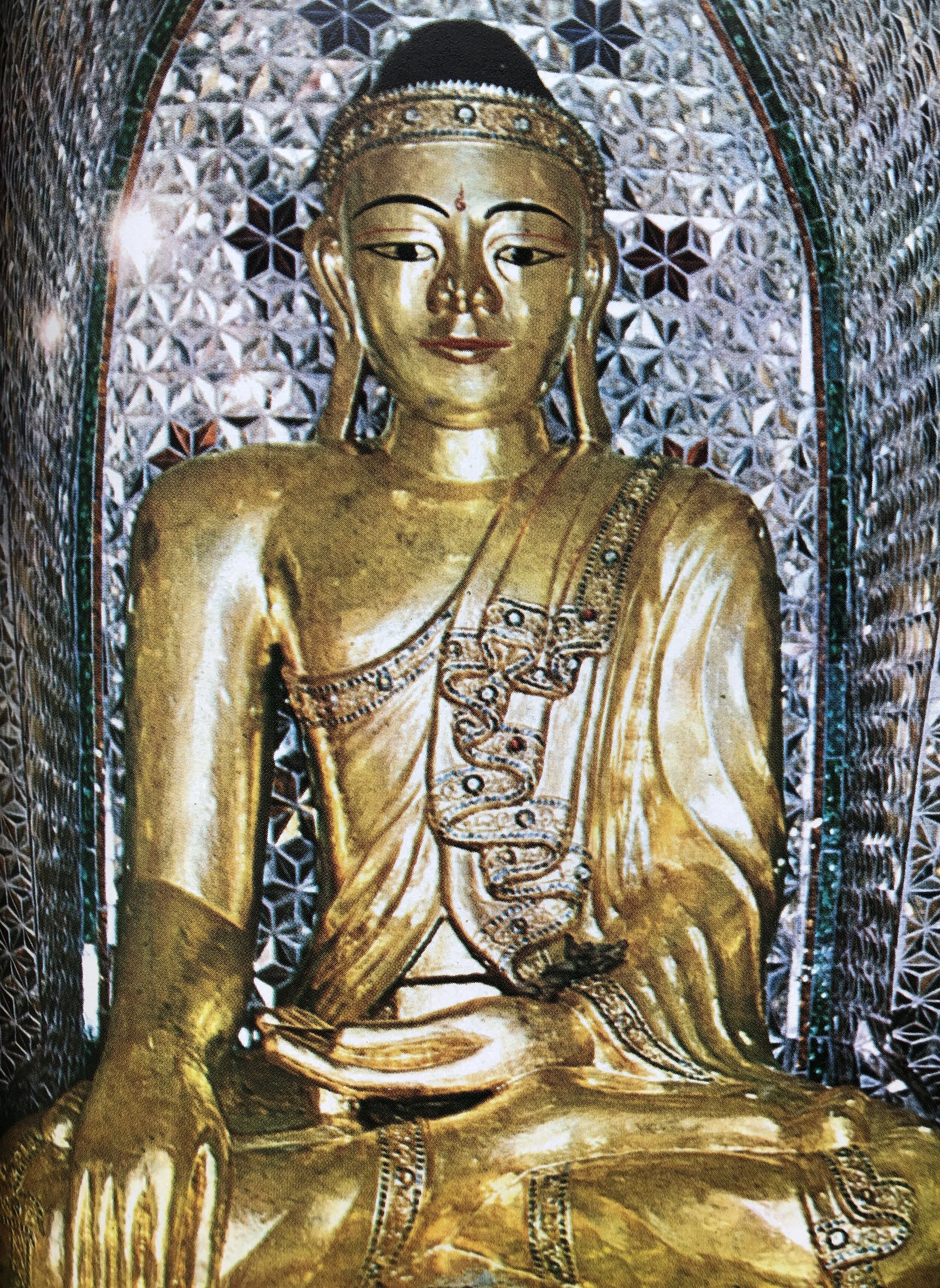 E0A36C57-8074-44B5-955A-48E85FCB6BEE