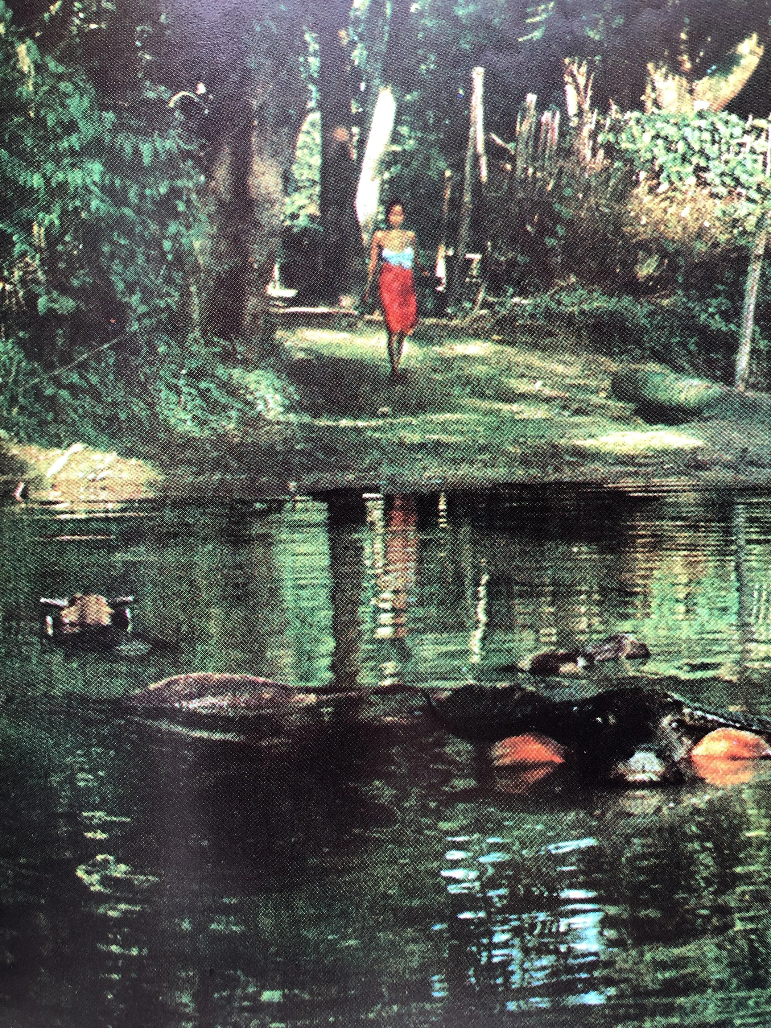 CA7E11A8-364D-4288-AF89-DEC15B6294A1