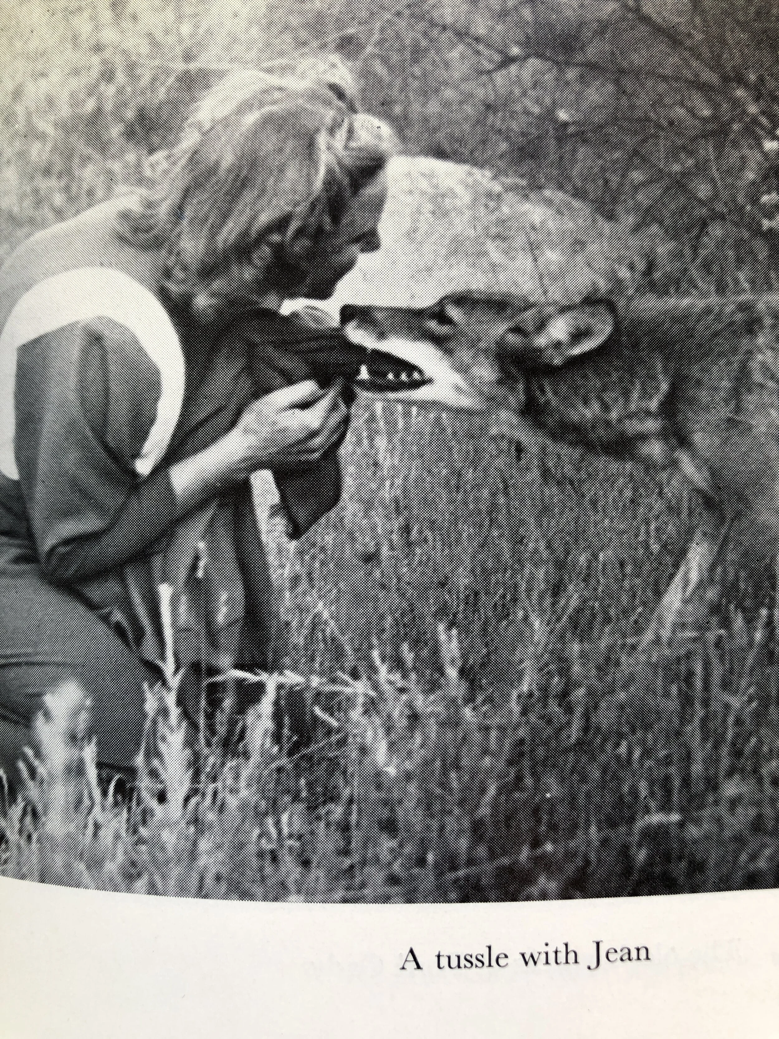 BA7D298B-688B-4B29-9C80-13C2F5847F0A