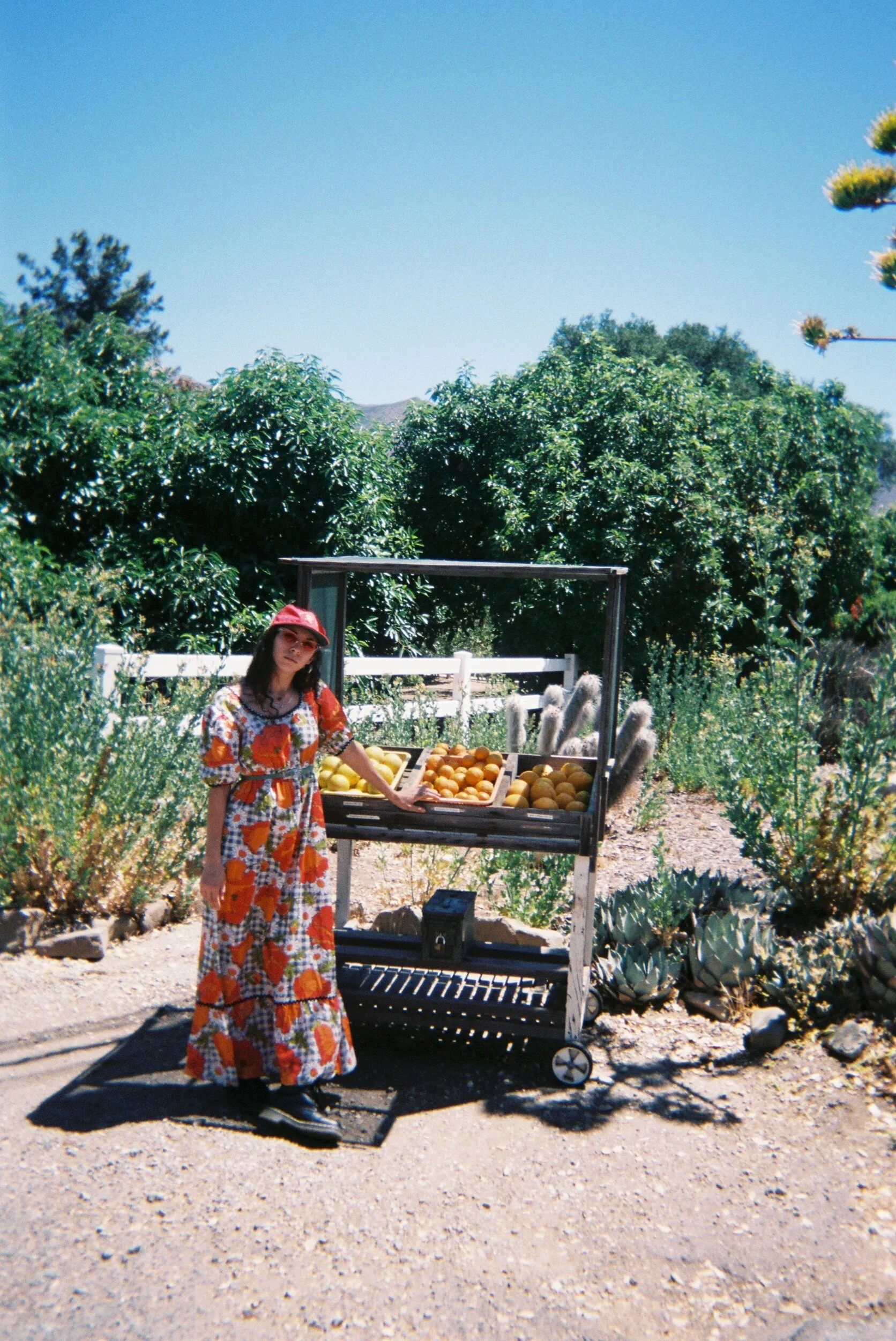 6E1A3162-0D4C-4995-A8D6-89A589022332