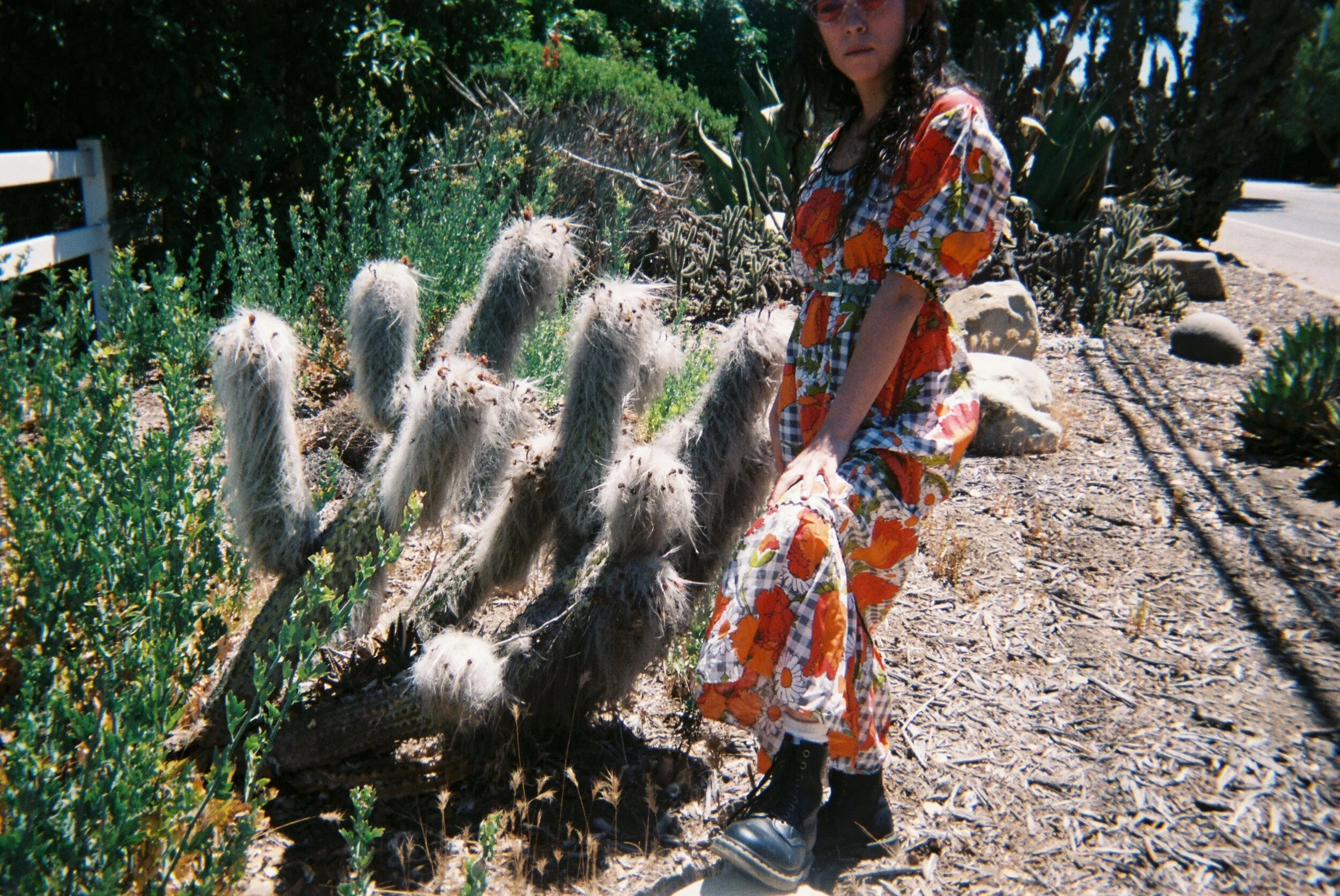 6BF434C0-E495-4178-B7CC-DC7AEA7B1364