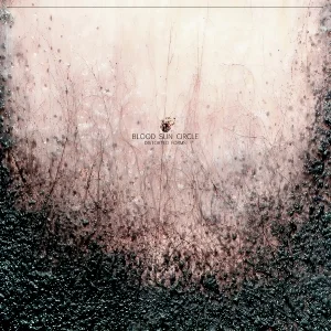 BSC-DF-Vinyl-Cover-Final.jpg