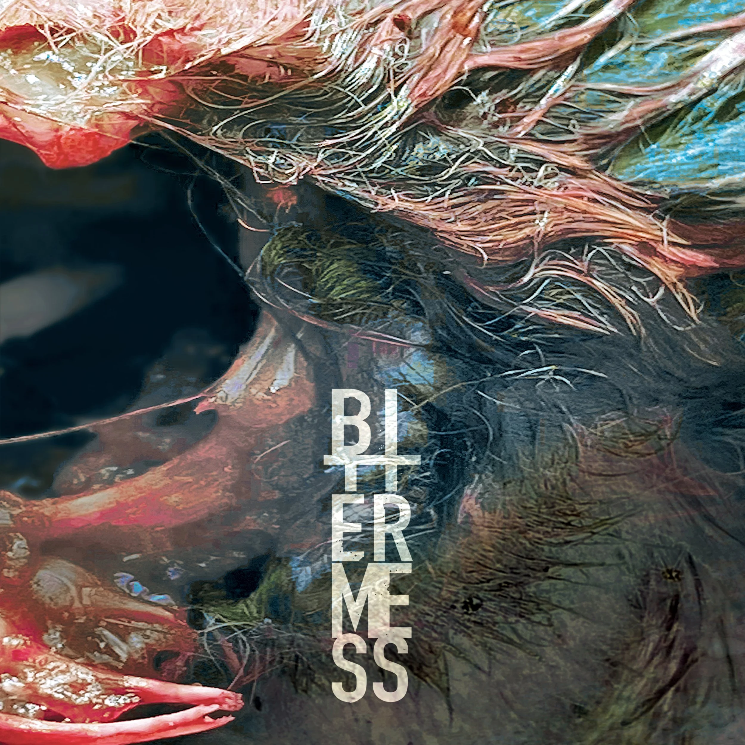 Bitter-Mess-Clean-Through-Cover-Large.jpg