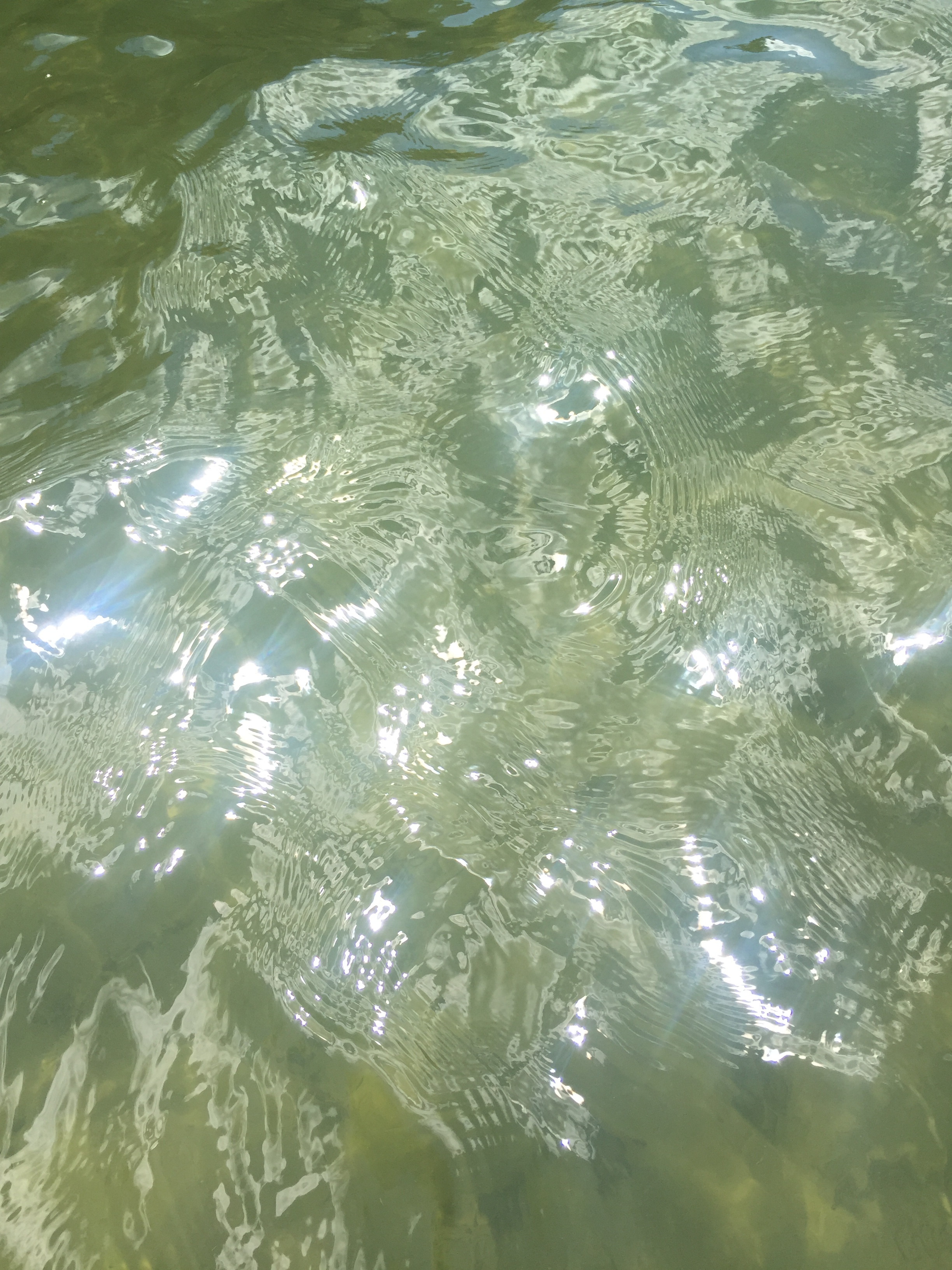 Reflections on lake