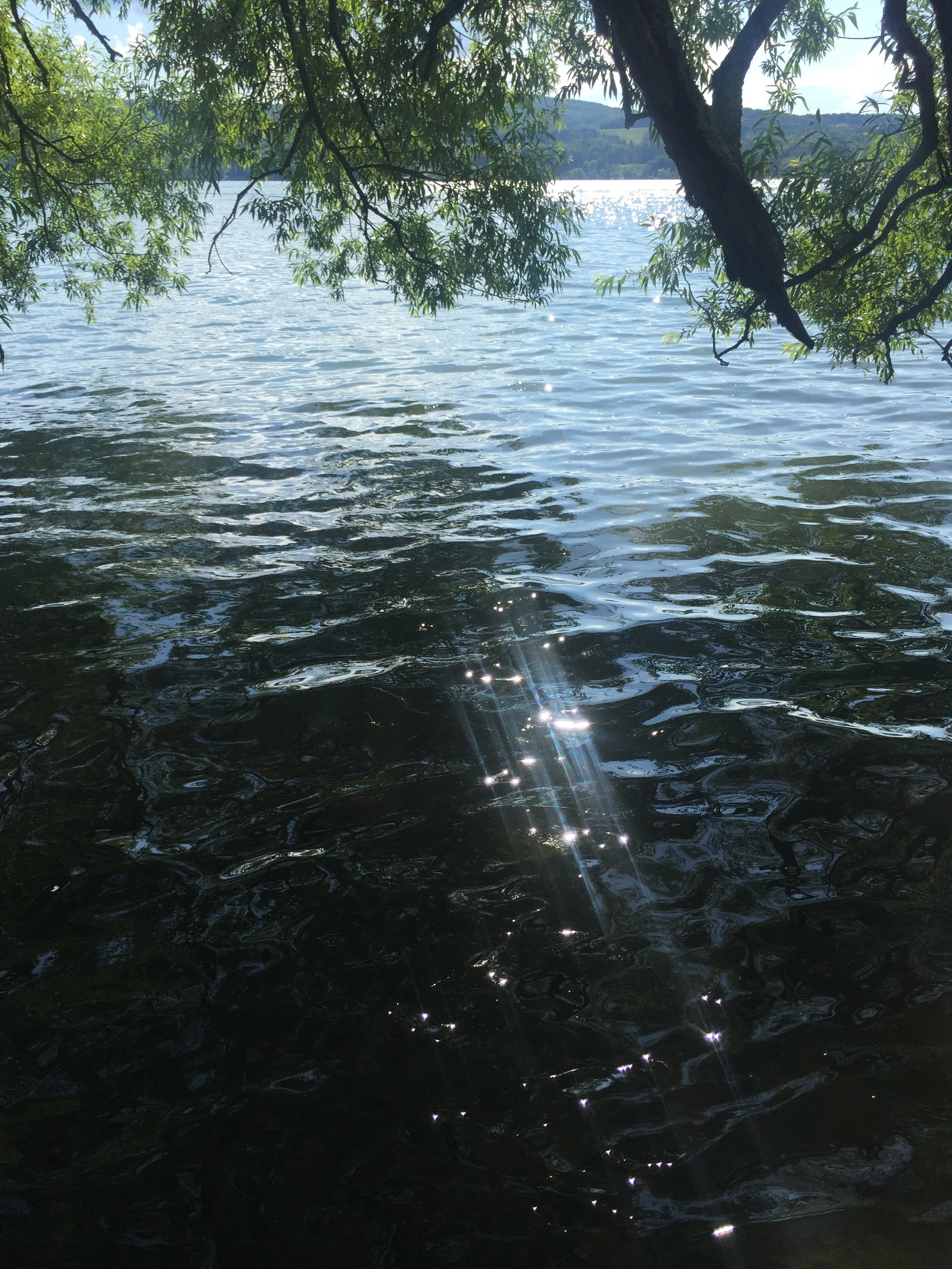 Stray refections on a lake in Upstate NY