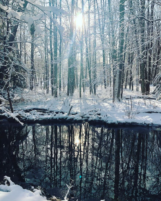 Winter reflections