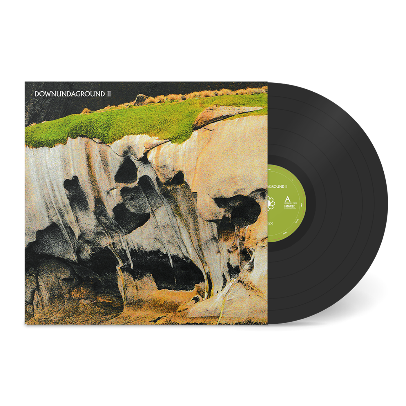 WEBSITE VINYL CLEAR F DG.png