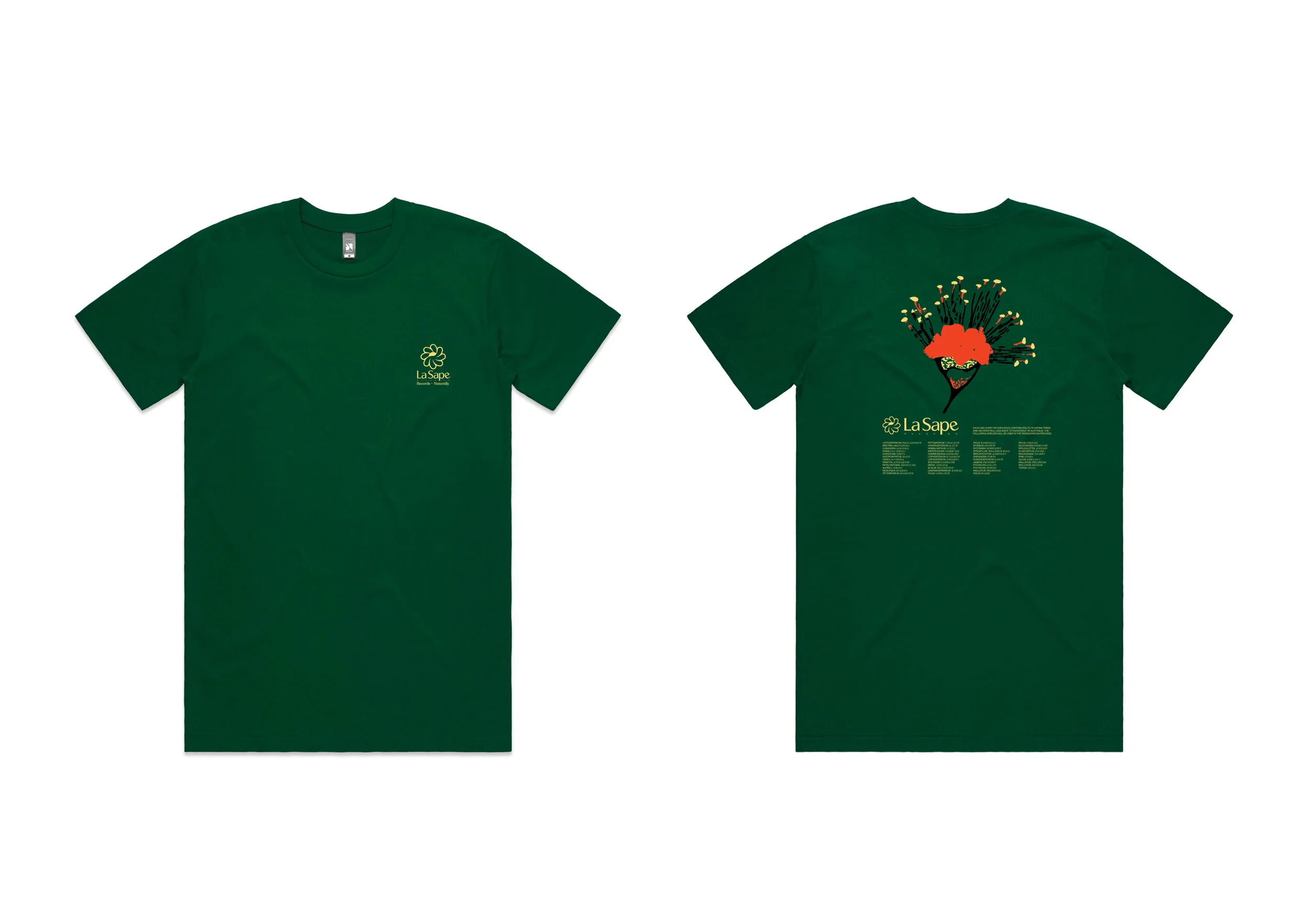 LaSape Tee template.jpeg