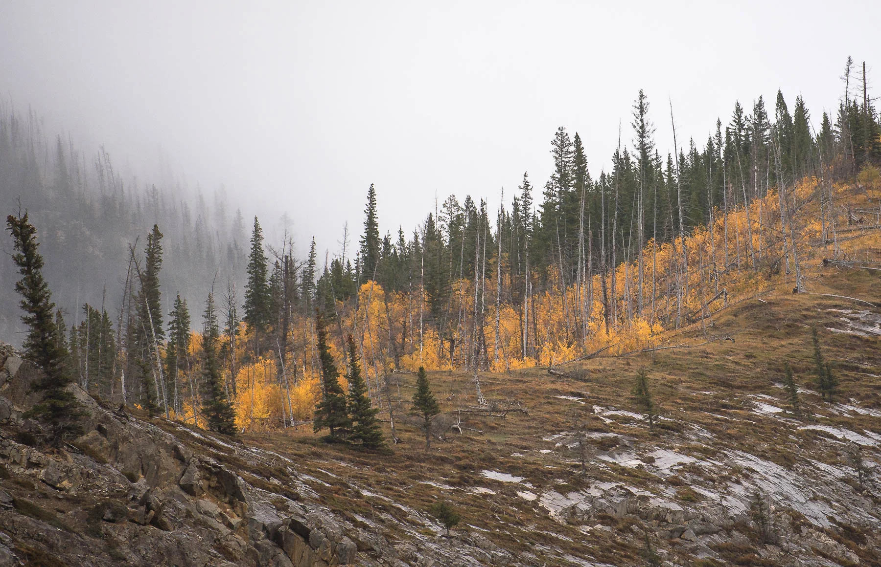 Aspen Ridge