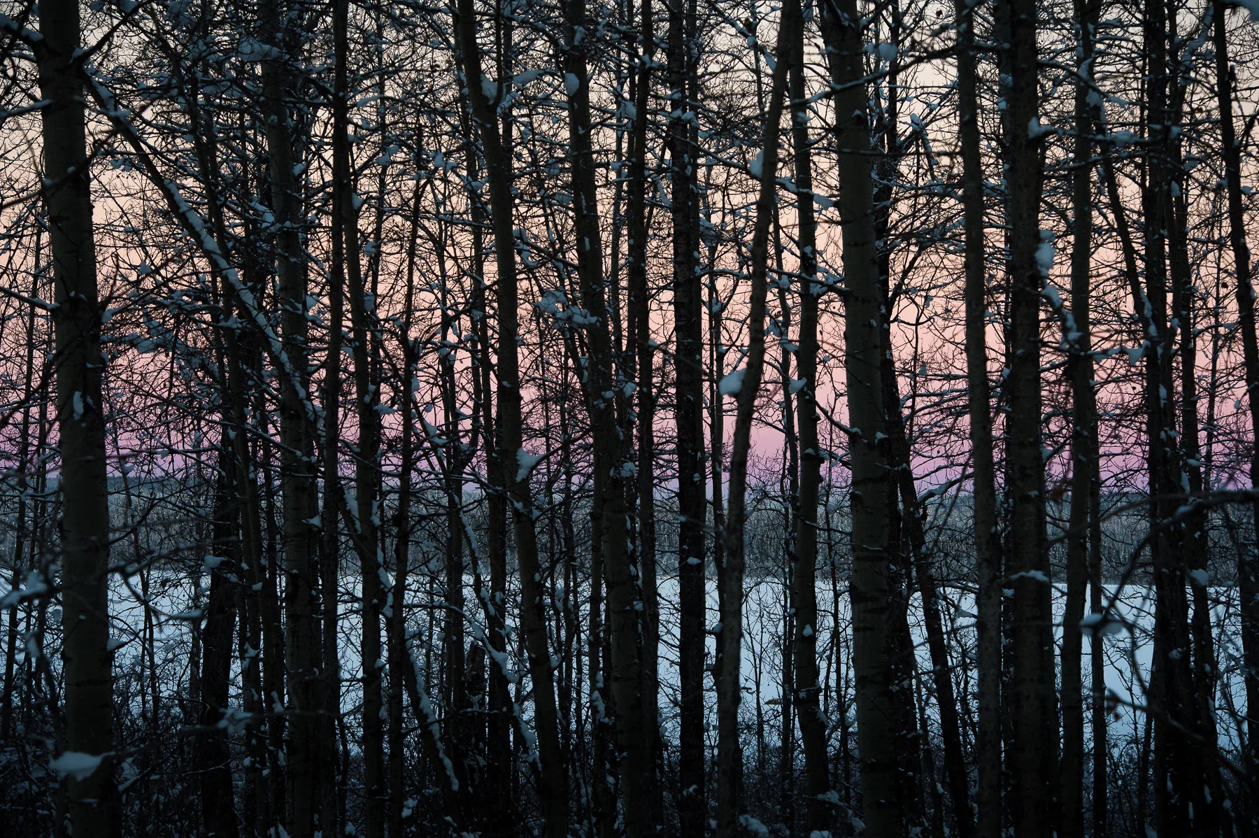Winter Hues