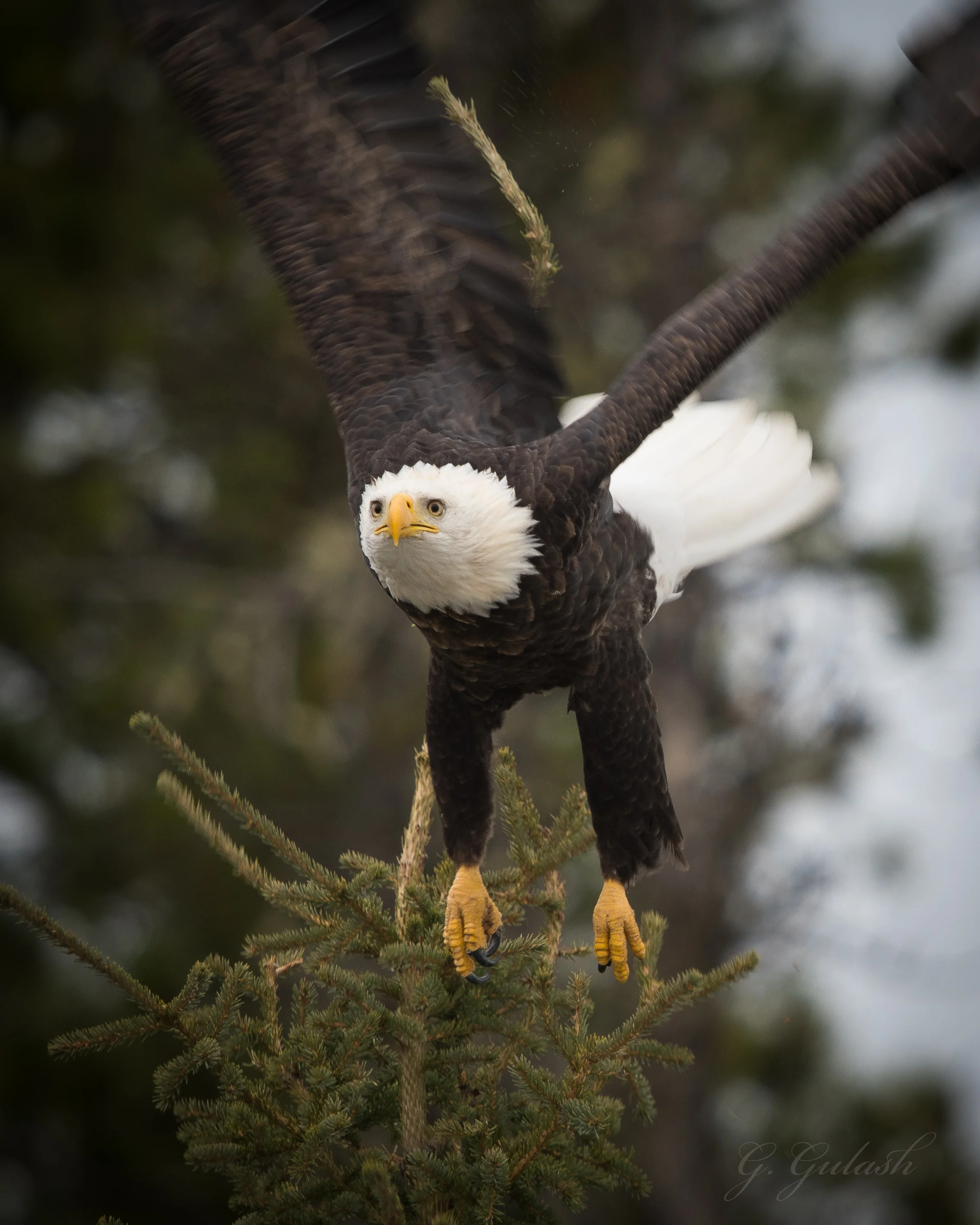 _DSC3455.jpg