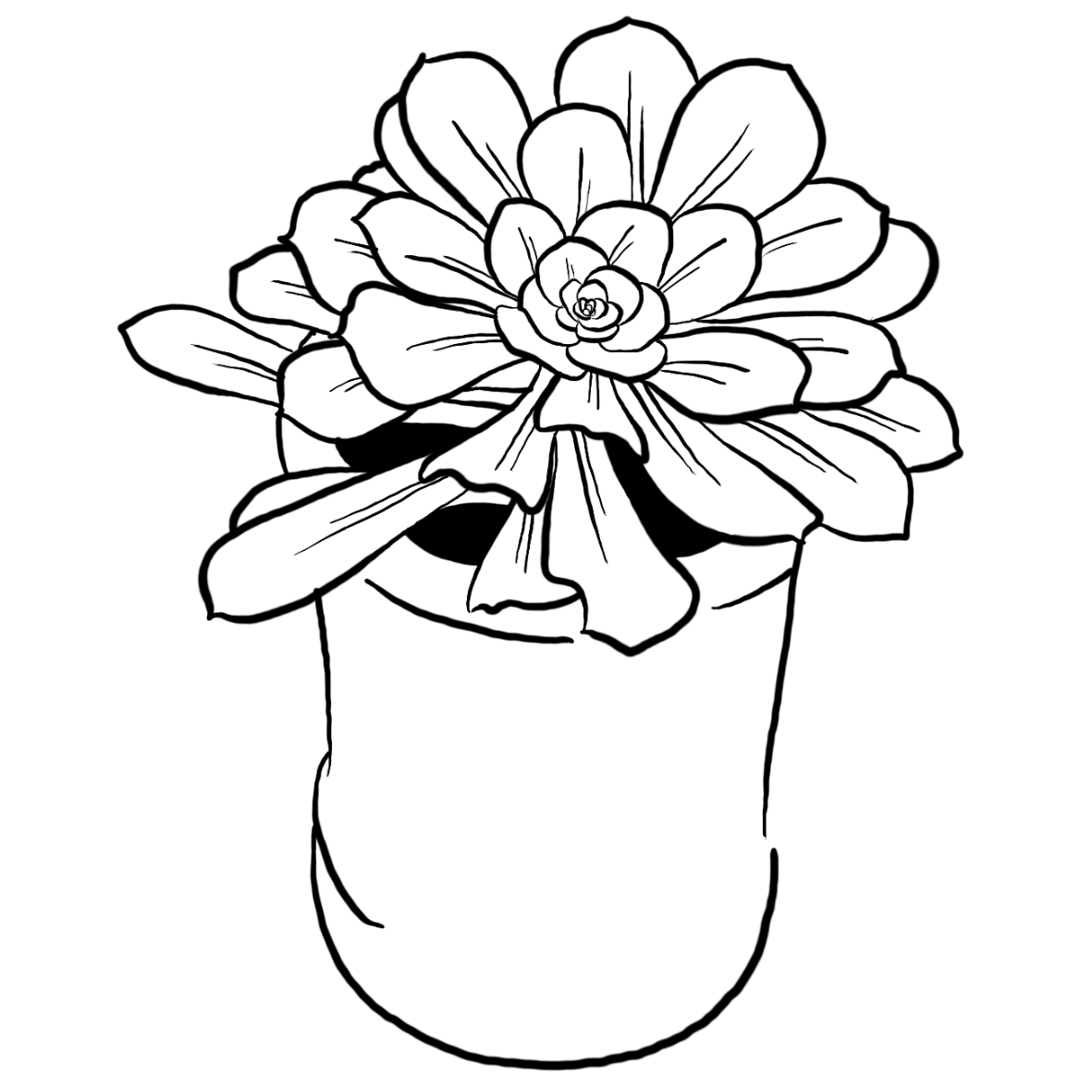 Succulent.jpg