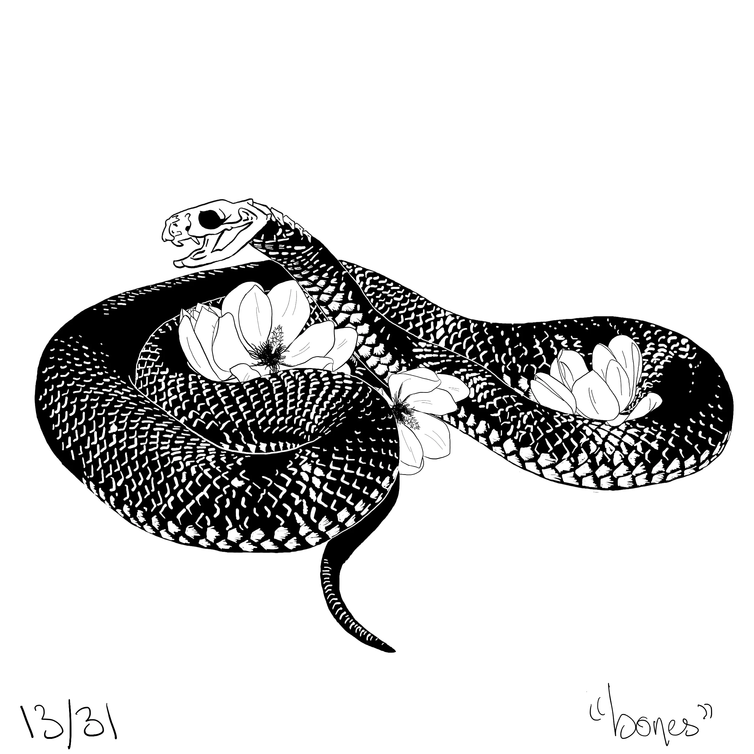 Magnolia3.jpg