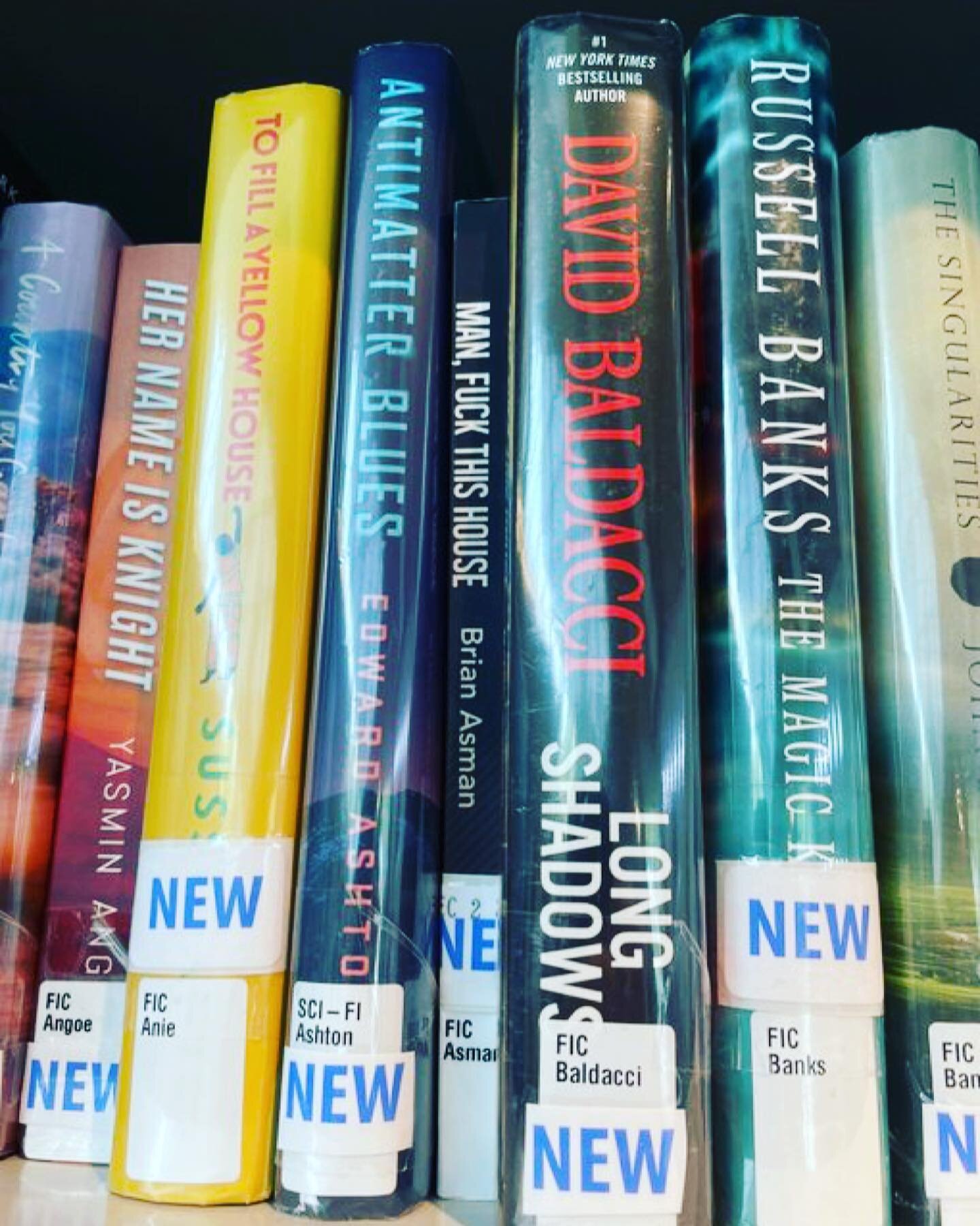 MFTH in the library in Queens, photo courtesy of @nickkolakowski #horror #horrorbooks #horrorbookstagram #bookshelf #bookporn #library #book #books #bookstagram