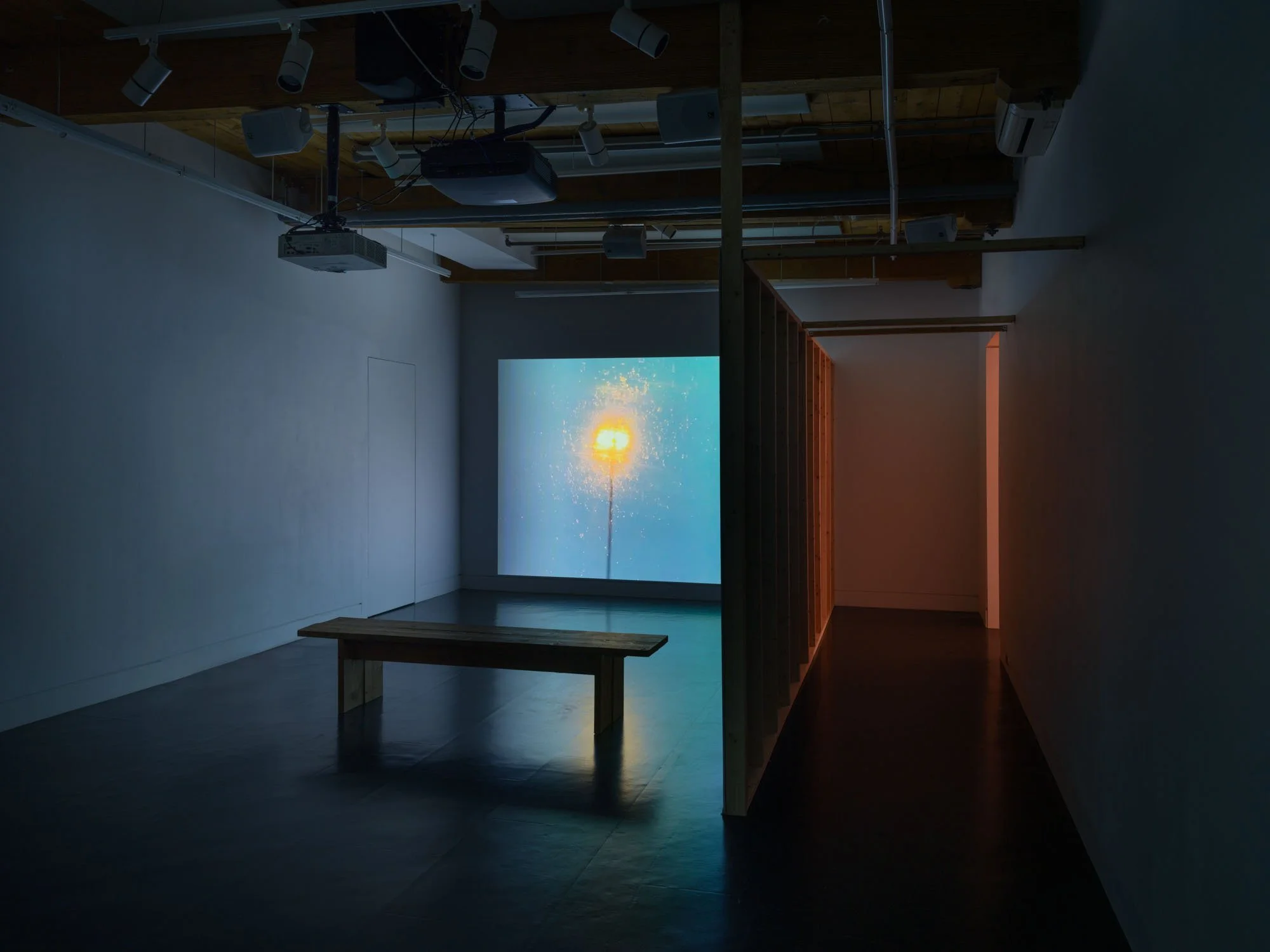 Images-Sophie Sabet-010.jpeg